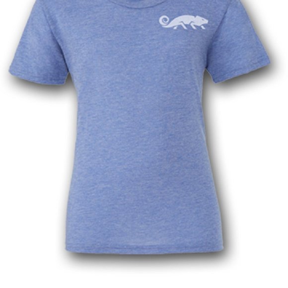 NATURAL GEAR SHORT SLEEVE T-SHIRT - BLUE - Picture 1 of 2